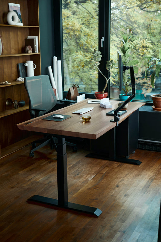 Viiergo Dual Motor Electric Adjustable Desk