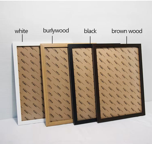 Viiergo Reusable Art Frame